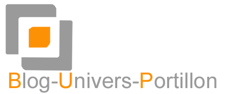 Logo Blog-Univers-Portillon